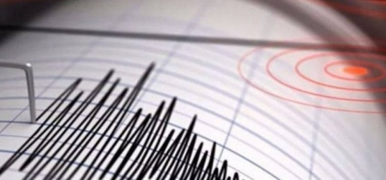 Sismo se sintió en Guanajuato