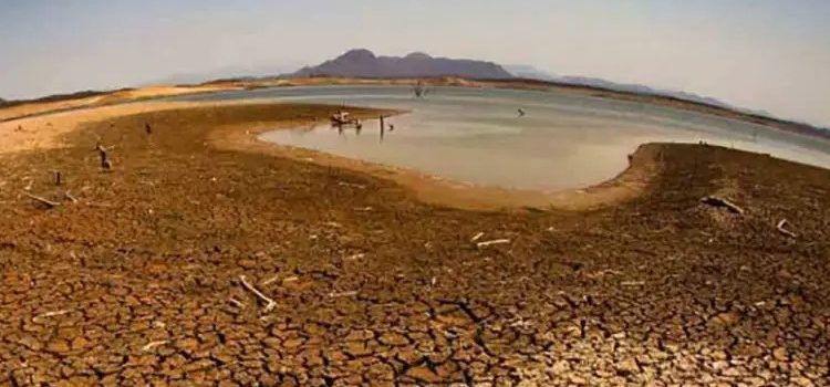 “La vida en el planeta está en peligro”