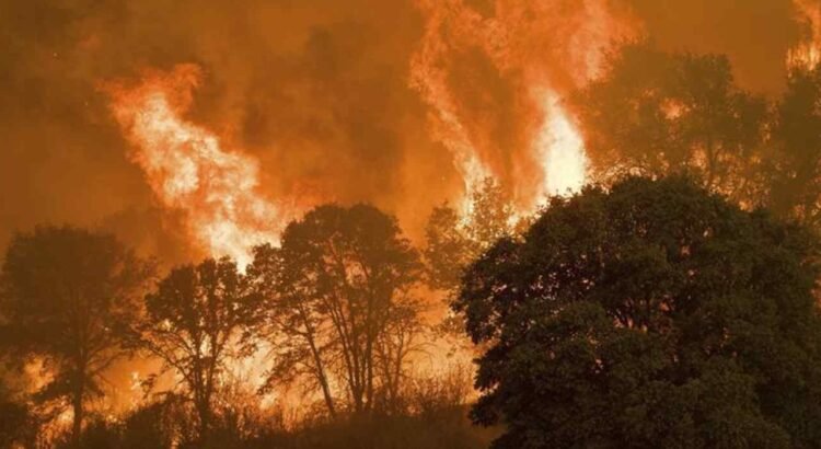 Incrementan los incendios forestales en Guanajuato