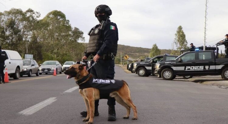 Reducen violencia en Guanajuato tras operativos federales