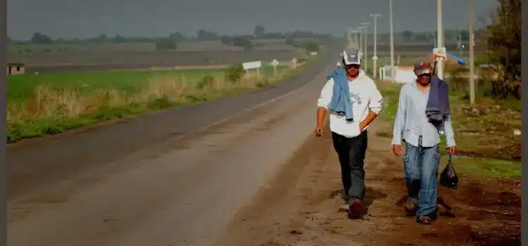 Braceros preparan marcha de Irapuato a Guanajuato capital por falta de apoyos
