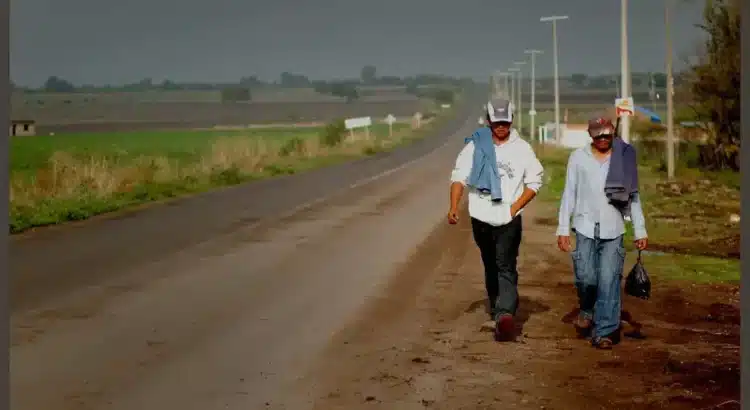 Braceros preparan marcha de Irapuato a Guanajuato capital por falta de apoyos