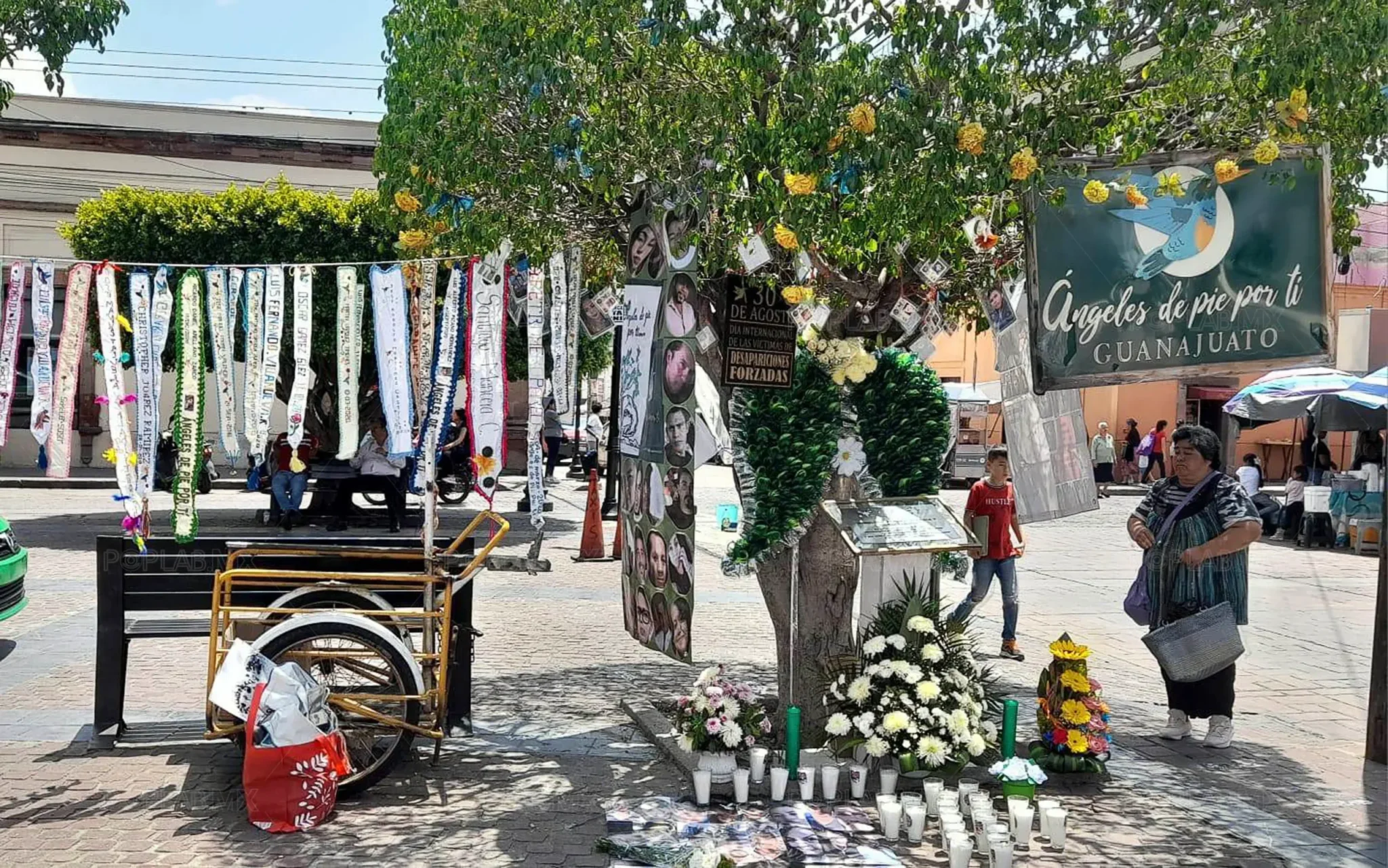 Desapariciones de mujeres en Guanajuato suben 25% en un año